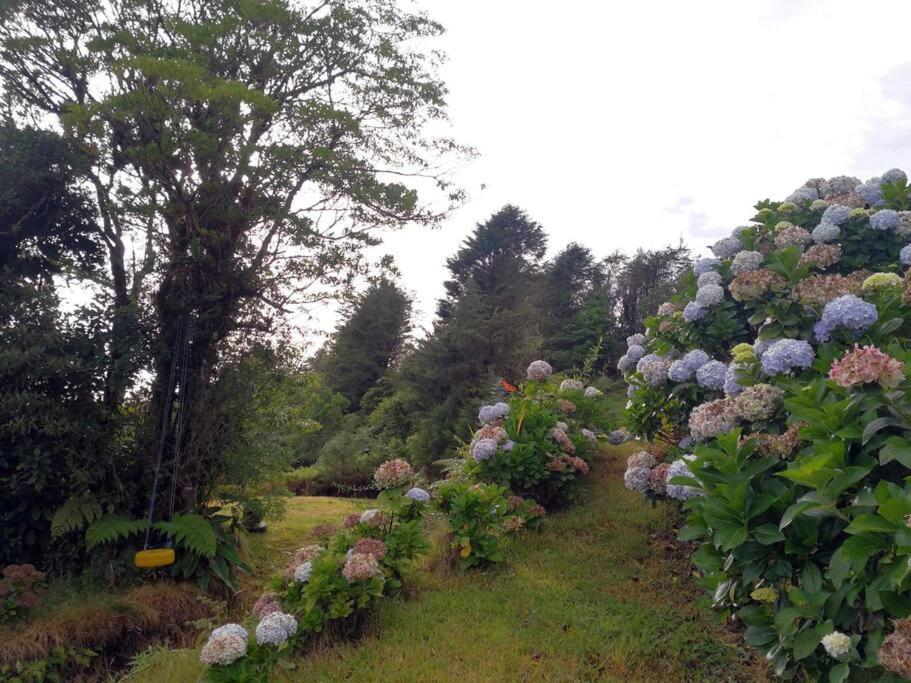 La Cabana Heredia Buitenkant foto